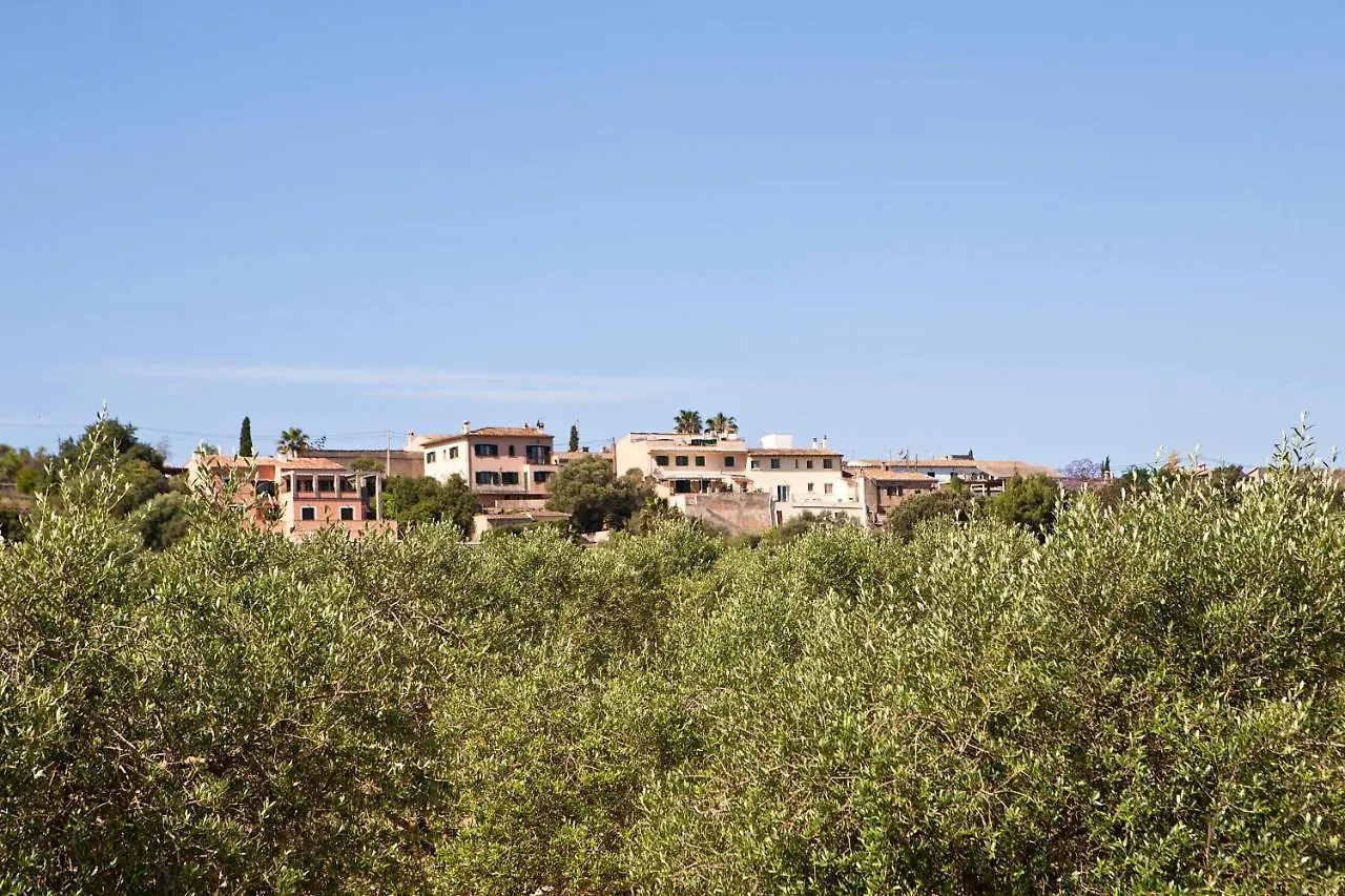Villa S'Hort De Son Caulelles - Adults Only Marratxí 0*,  Spagna