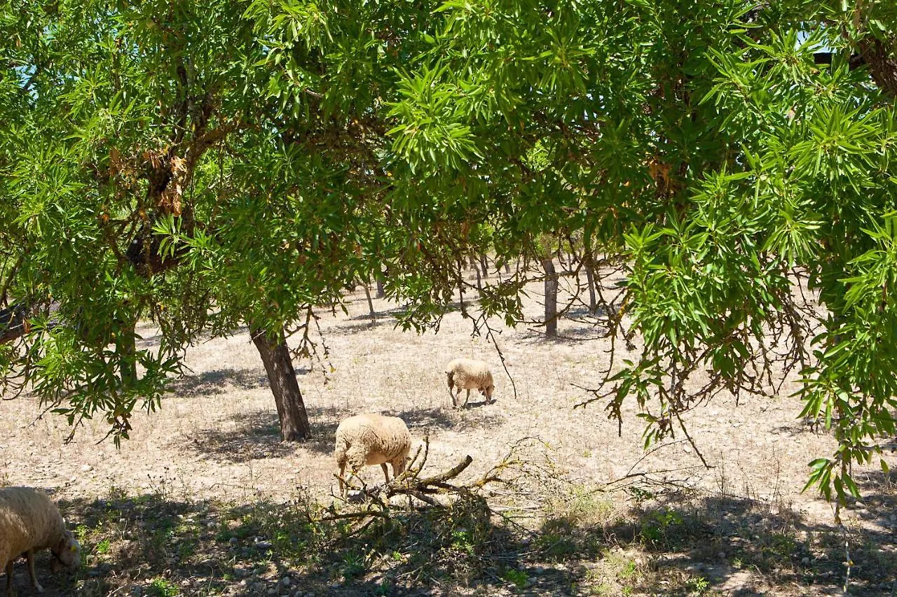 Alloggio per agriturismo Villa S'Hort De Son Caulelles - Adults Only Marratxí Spagna